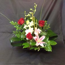 Zen design starting at 50.00