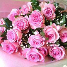 JIF Jack Iannotti Roses
