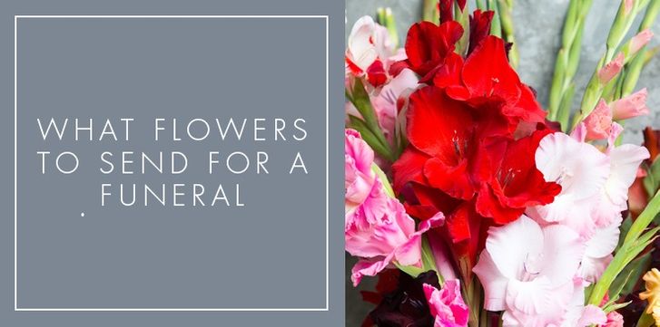  SYMPATHY FLOWERS FOR THE FUNERAL