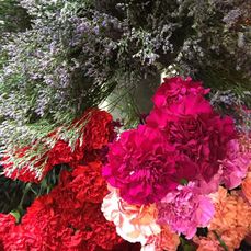 Beautiful, Fresh Flowers